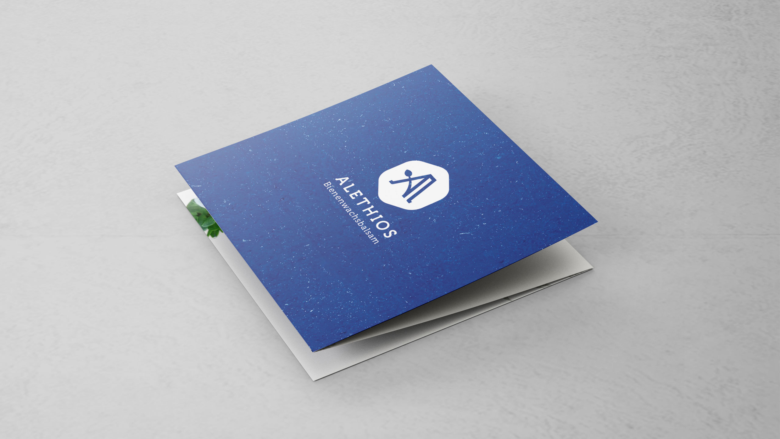 Alethios Leporello 01 MHG Bern / Grafikdesign