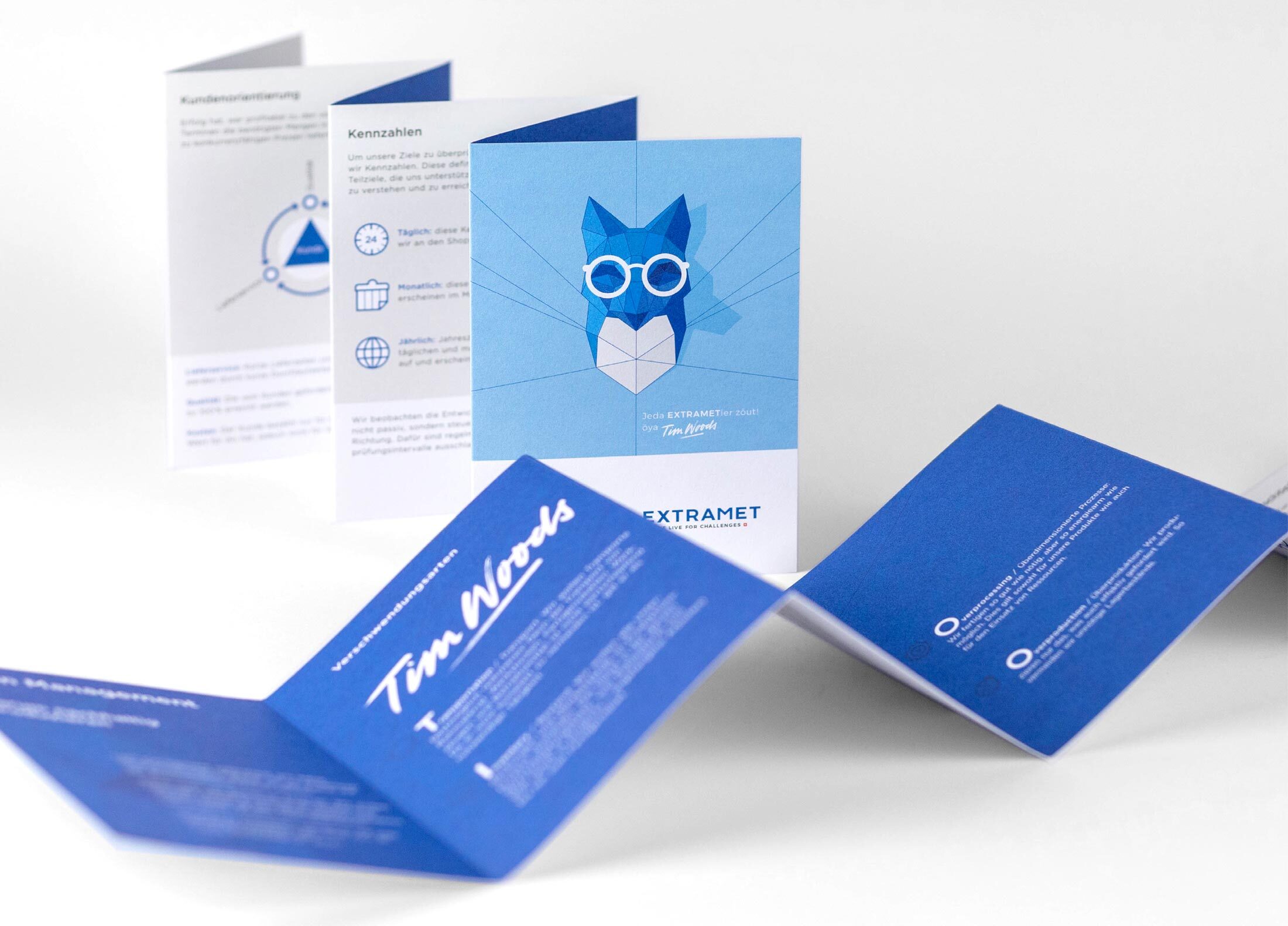 Extramet Fox 04 MHG Bern / Grafikdesign