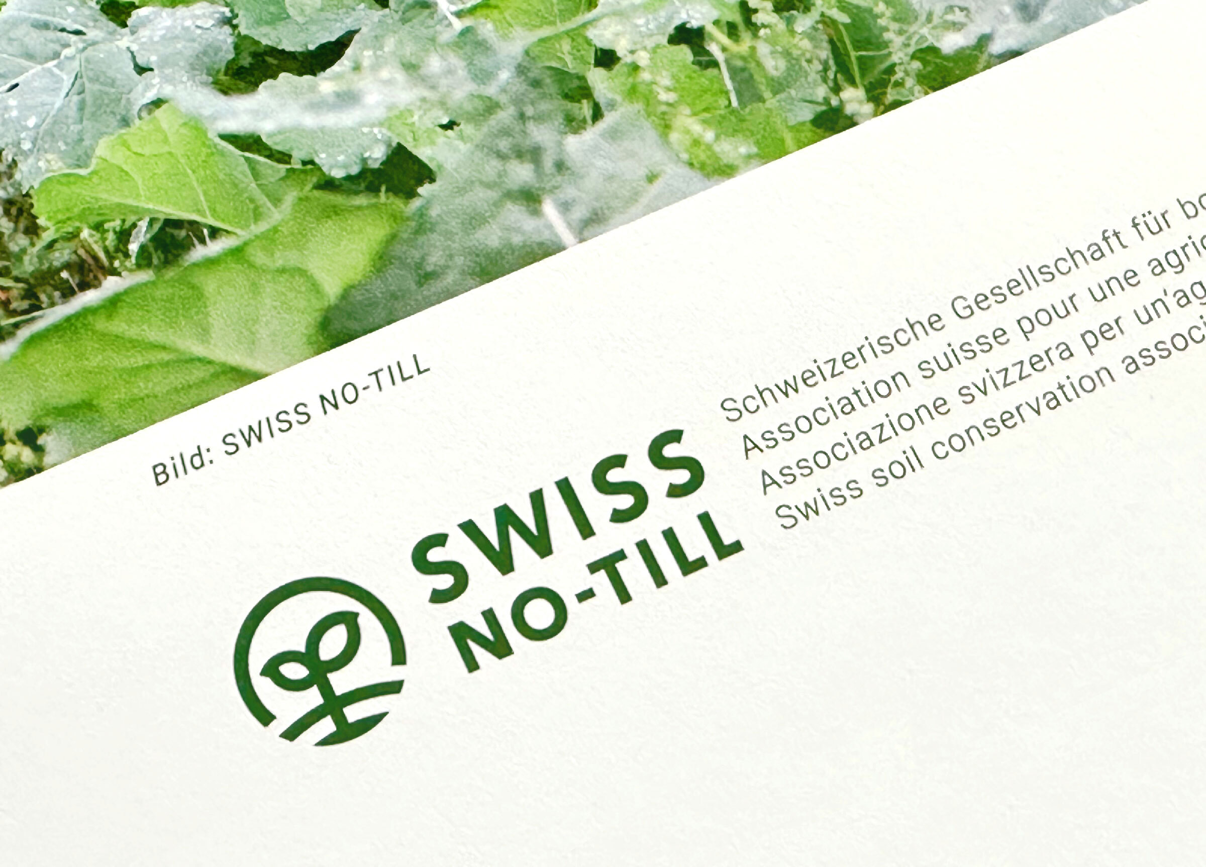 Swiss No Till Corporate Design 11 MHG Bern / Grafikdesign