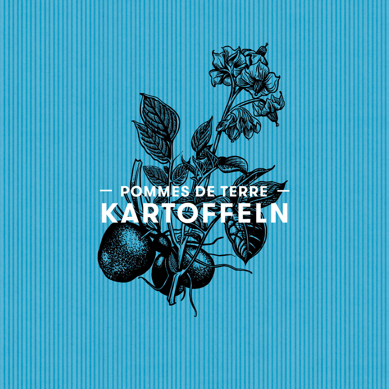 Volg Kartoffeln Packaging Design 00 MHG Bern / Grafikdesign