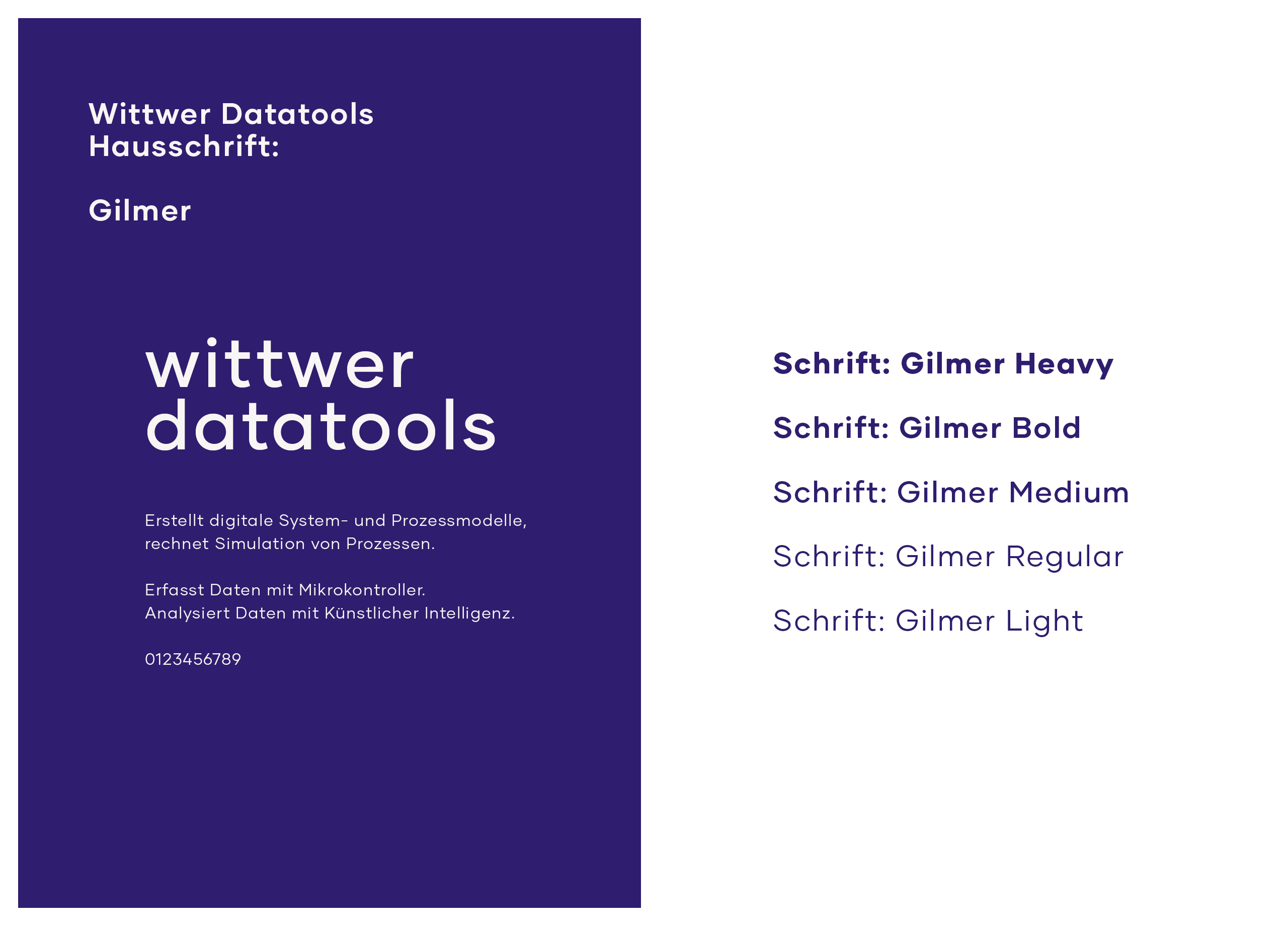 Wittwer Datatools Branding Schriften MHG Bern / Grafikdesign