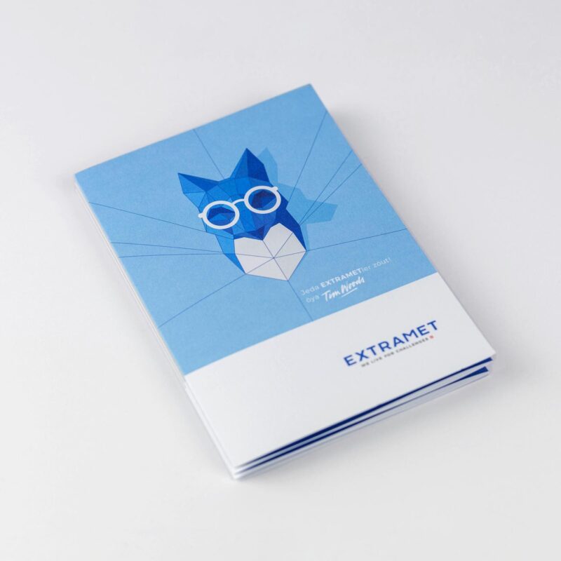 Extramet Fox 05 MHG Bern / Grafikdesign