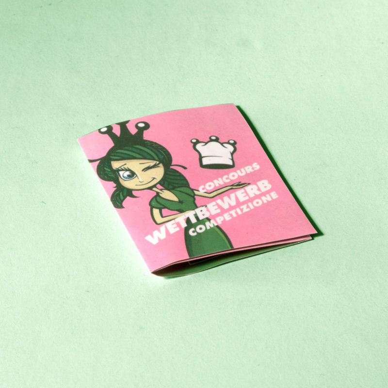 Princesse Celtiane Wettbewerb 04 MHG Bern / Grafikdesign