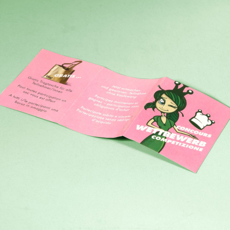 Princesse Celtiane Wettbewerb 05 MHG Bern / Grafikdesign
