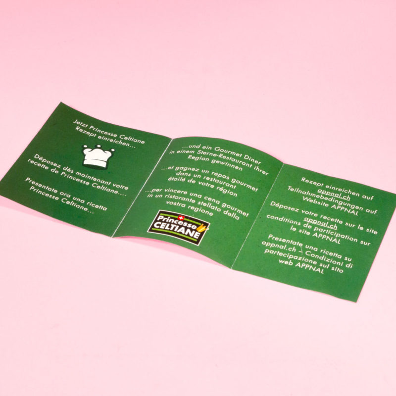 Princesse Celtiane Wettbewerb 06 MHG Bern / Grafikdesign