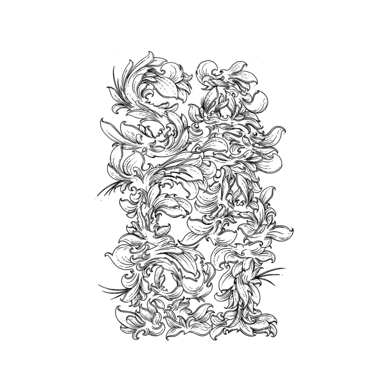 Safari Clothing Bush Script MHG Bern / Grafikdesign