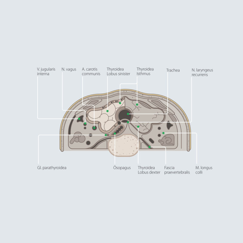Pharmasuisse Infografiken 08 MHG Bern / Grafikdesign