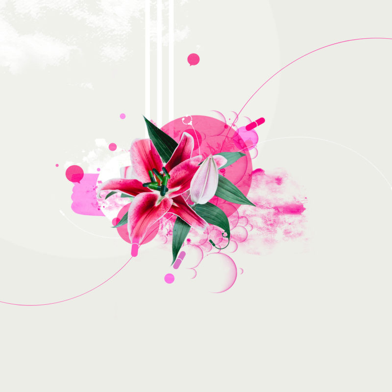 Pharmasuisse Keyvisuels 05 MHG Bern / Grafikdesign